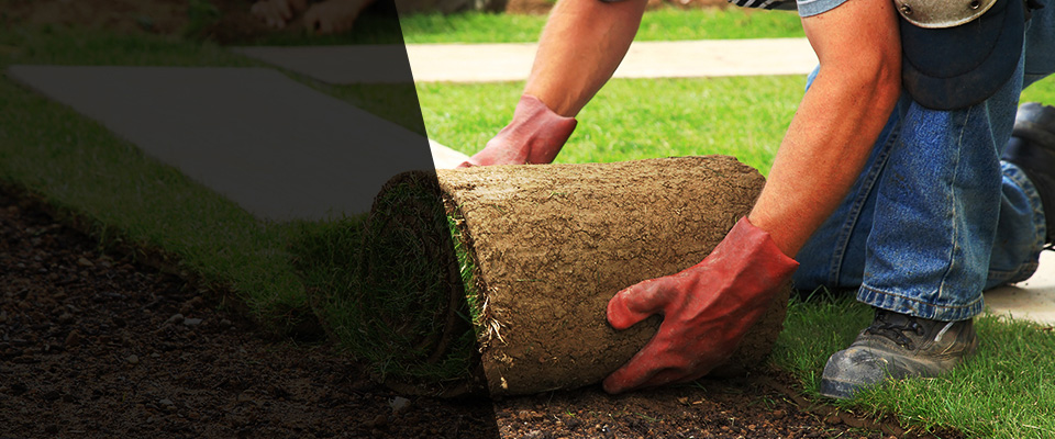 Somers Point Landscapers